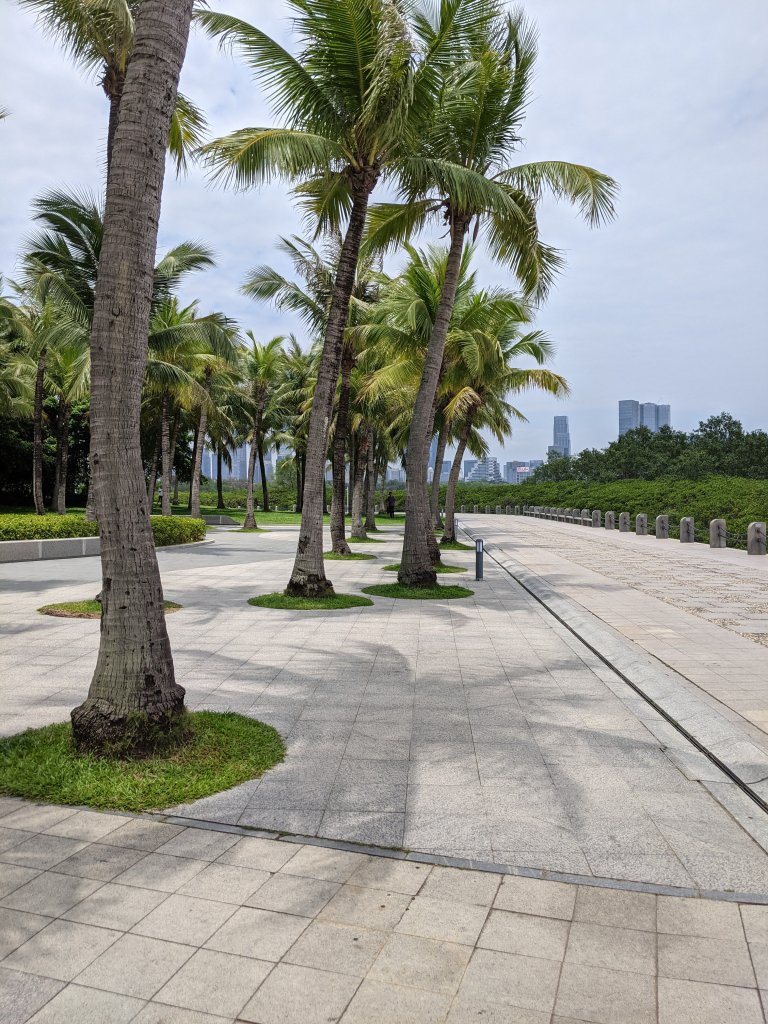 Walking trail, coconut trees, and downtown Shenzhen in the background